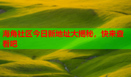 海角社区今日新地址大揭秘，快来查看吧