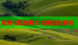 海角社区的魅力与挑战全解析