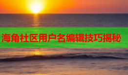 海角社区用户名编辑技巧揭秘