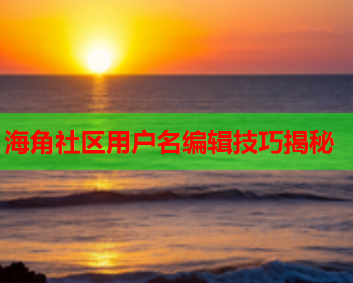 海角社区用户名编辑技巧揭秘